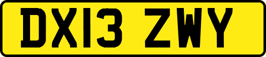 DX13ZWY