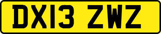 DX13ZWZ