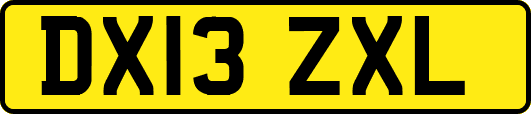 DX13ZXL