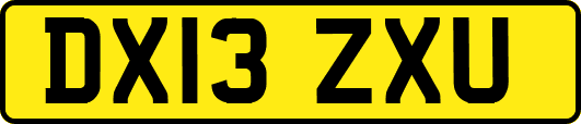 DX13ZXU