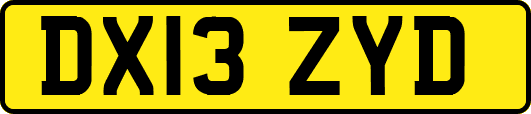 DX13ZYD