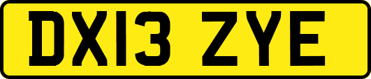 DX13ZYE