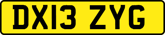 DX13ZYG