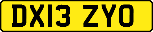 DX13ZYO