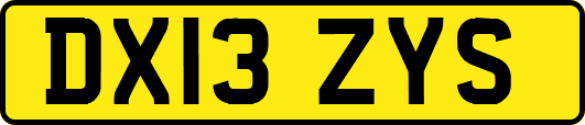 DX13ZYS