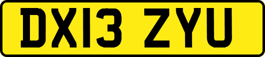 DX13ZYU
