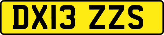 DX13ZZS