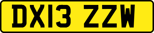 DX13ZZW