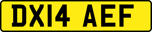 DX14AEF