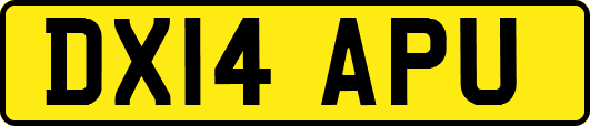 DX14APU