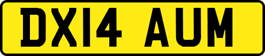 DX14AUM