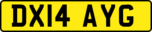 DX14AYG