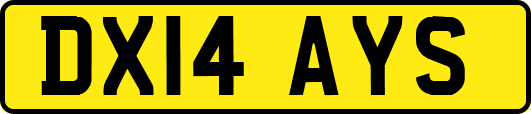 DX14AYS