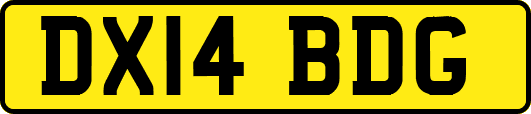 DX14BDG