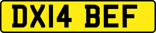 DX14BEF