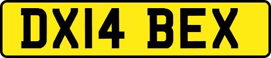 DX14BEX