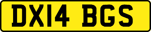 DX14BGS