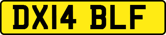 DX14BLF