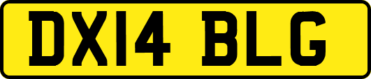 DX14BLG