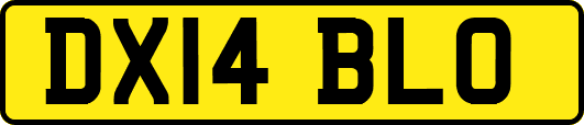 DX14BLO
