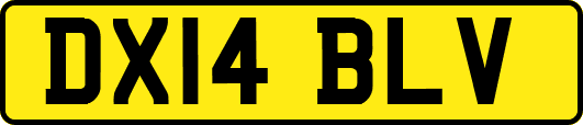 DX14BLV