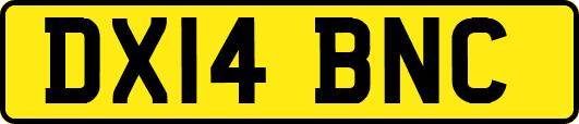 DX14BNC