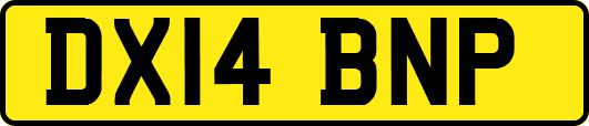 DX14BNP