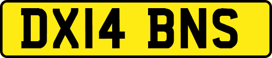 DX14BNS
