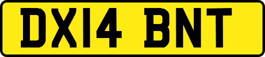 DX14BNT