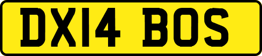 DX14BOS