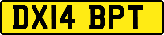 DX14BPT