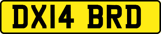 DX14BRD