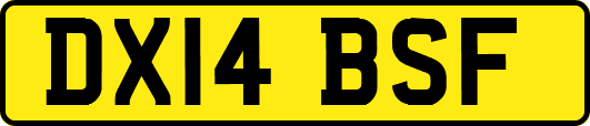DX14BSF