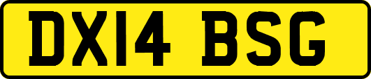 DX14BSG
