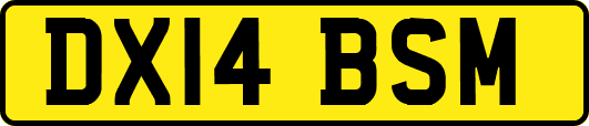 DX14BSM