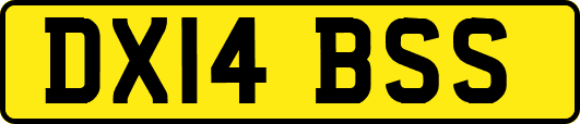 DX14BSS