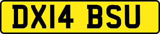 DX14BSU