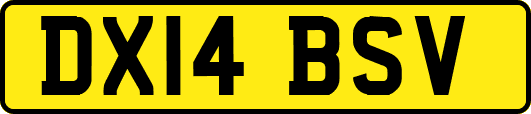 DX14BSV