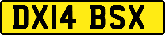 DX14BSX