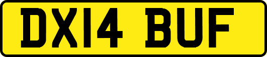 DX14BUF