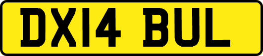 DX14BUL