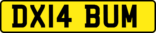 DX14BUM