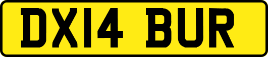 DX14BUR