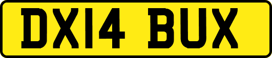 DX14BUX