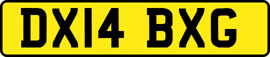 DX14BXG