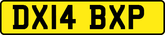 DX14BXP