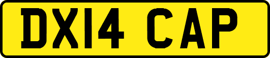DX14CAP