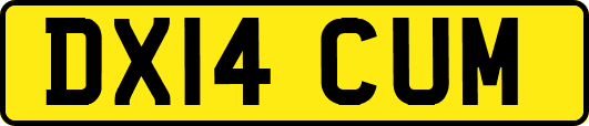 DX14CUM