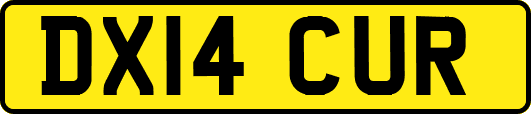 DX14CUR