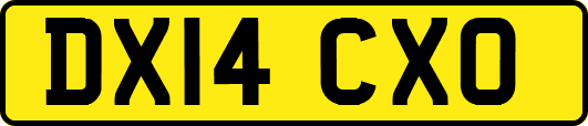 DX14CXO